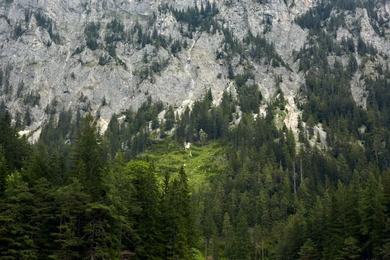 Raised by Altitude: Why Performers from the Alps Carry Something American Stages Can't Manufacture
